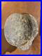2-german-ww2-militaria-original-helmet-from-Ardennes-Forest-01-dhu
