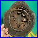 Fantastic-WW2-German-Army-M42-Helmet-Shell-Found-in-Normandy-With-Liner-01-rlge