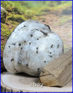 Helmet german original nice helmet M35 size 62 original WW2 WWII