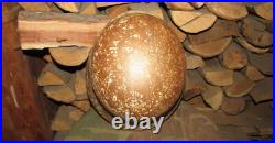 Original-Authentic WW2 WWII Relic German helmet Wehrmacht # 184 Original-Authentic WW2 WWII Relic German helmet Wehrmacht # 184