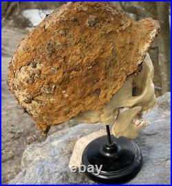 Original German Helmet WWII
