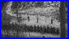 The-Horrific-Executions-Of-The-40-German-Soldiers-Shot-By-The-French-Resistance-01-gp