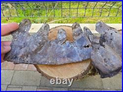 WW2 Original German Helmet Leather From Kurland Battlefield