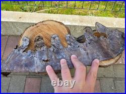 WW2 Original German Helmet Leather From Kurland Battlefield