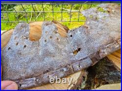 WW2 Original German Helmet Leather From Kurland Battlefield