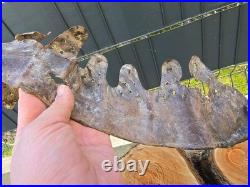 WW2 Original German Helmet Leather From Kurland Battlefield