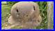 WW2-WWII-Original-German-Helmet-M35-01-olsq