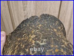 Wwii German Helmet M42