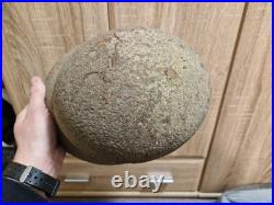 Wwii German Helmet M42